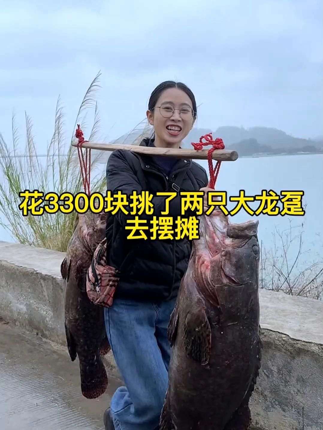龍躉魚的價格是多少，龍躉魚價格波動較大，價格波動較大，每公斤幾千元