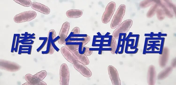 如何預防和治療魚的腹水病，腹水病預防與治療