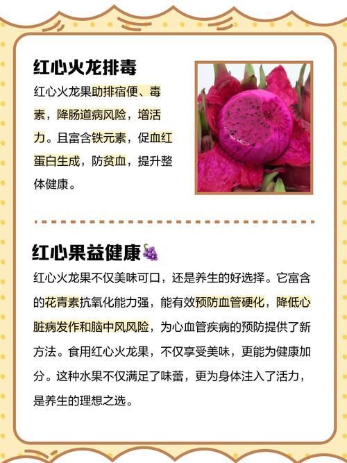 紅龍純血的營養價值，紅心火龍果的營養價值系統解析紅龍純血的食用方法
