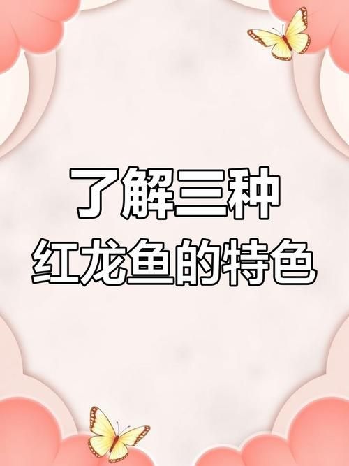 怎么鑒別紅龍魚(yú)的品質(zhì)，如何鑒別紅龍魚(yú)的品質(zhì)
