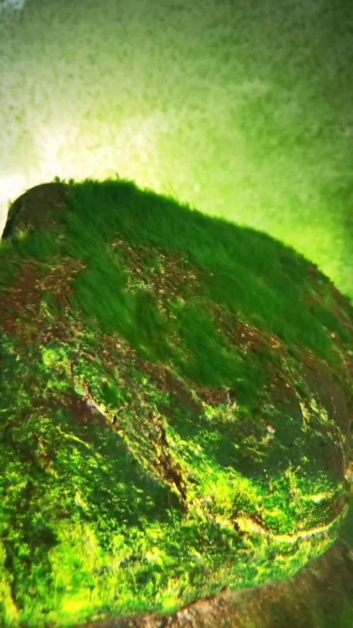 冒泡，泡排序是一種簡單的排序算法