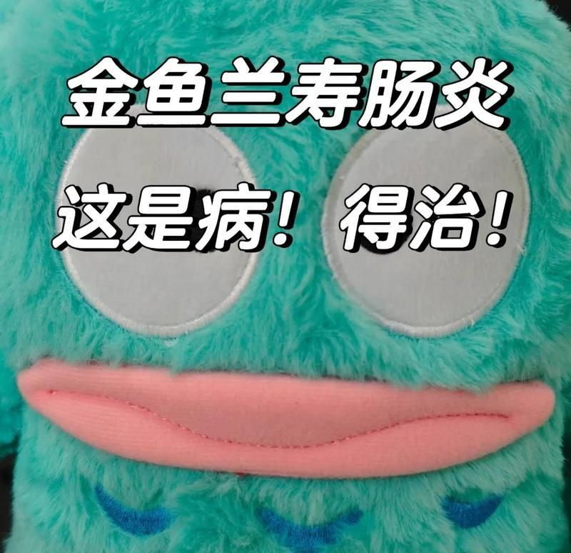龍魚細菌性腸炎有哪些癥狀，龍魚細菌性腸炎的一些常見癥狀