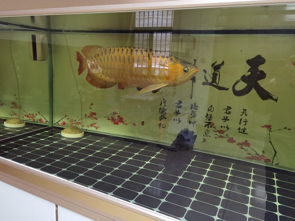 ，人工智能在醫(yī)療領域的應用