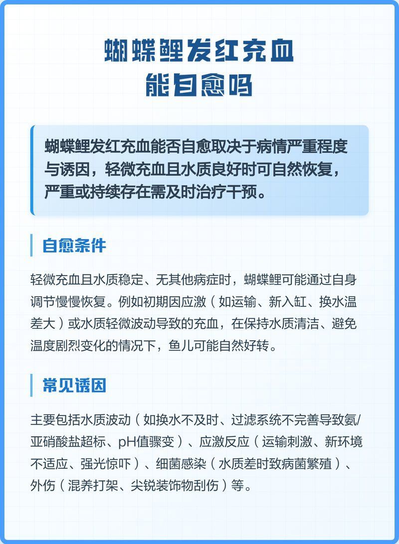 魚肚子變紅充血能自愈嗎，如何判斷魚肚子變紅充血是否嚴重？