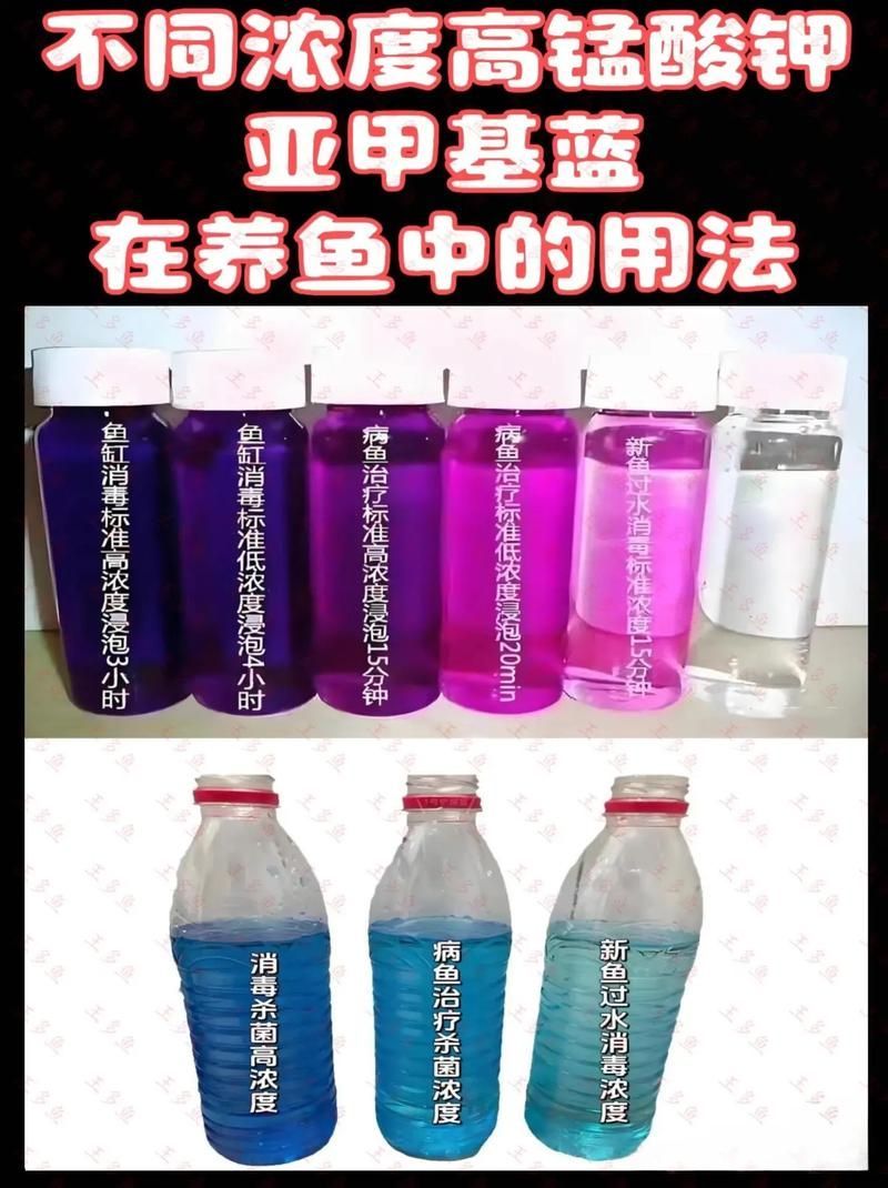 如何正確使用龍魚專用殺菌鹽？，龍魚專用殺菌鹽使用指南 如何正確使用龍魚專用殺菌鹽？，龍魚專用殺菌鹽使用指南 龍魚百科 第4張