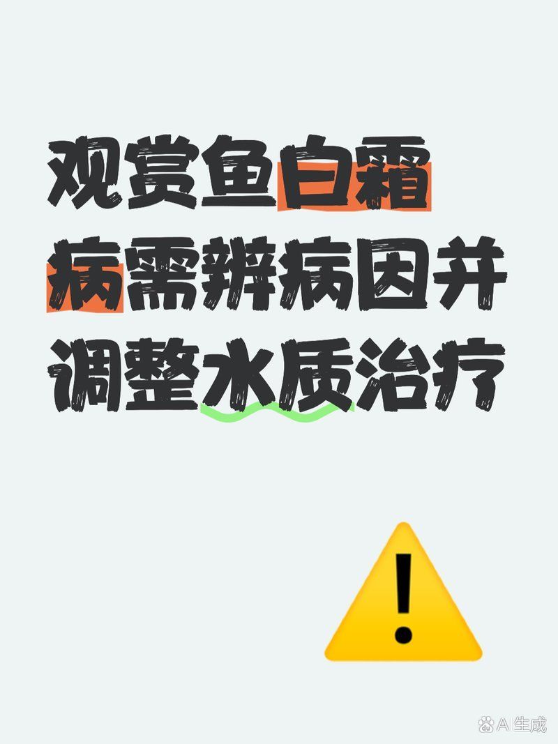 如何預防觀賞魚白霜病，寵物薯，觀賞魚身上長白霜怎么辦
