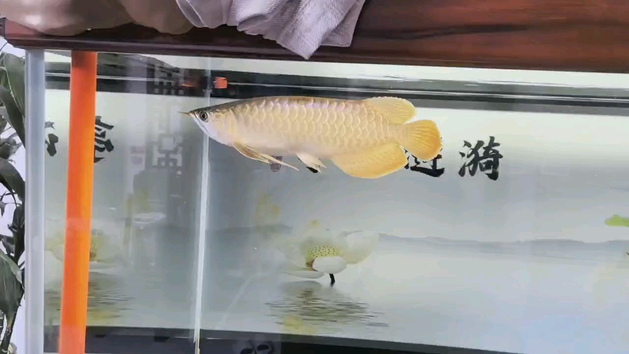 堅持愛好，堅持愛好對個人成長的影響