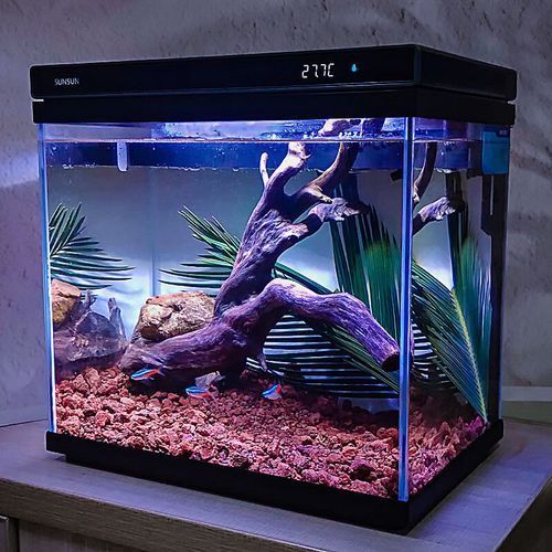 森森魚缸有哪些品牌推薦？，備受推崇的森森魚缸品牌推薦：森森魚缸-