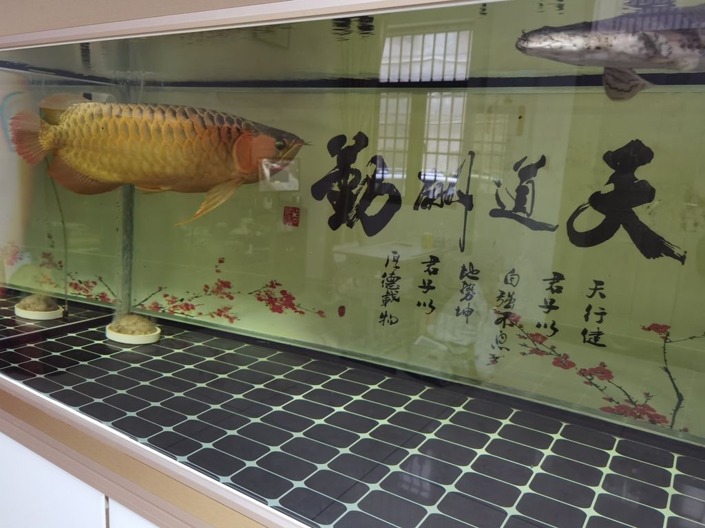 ，ai在教育資源分配、課程內容開發和教師培訓方面的潛力