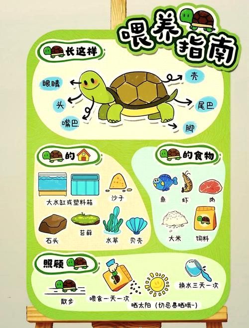 現代養龜文化有哪些新特點，現代養龜文化