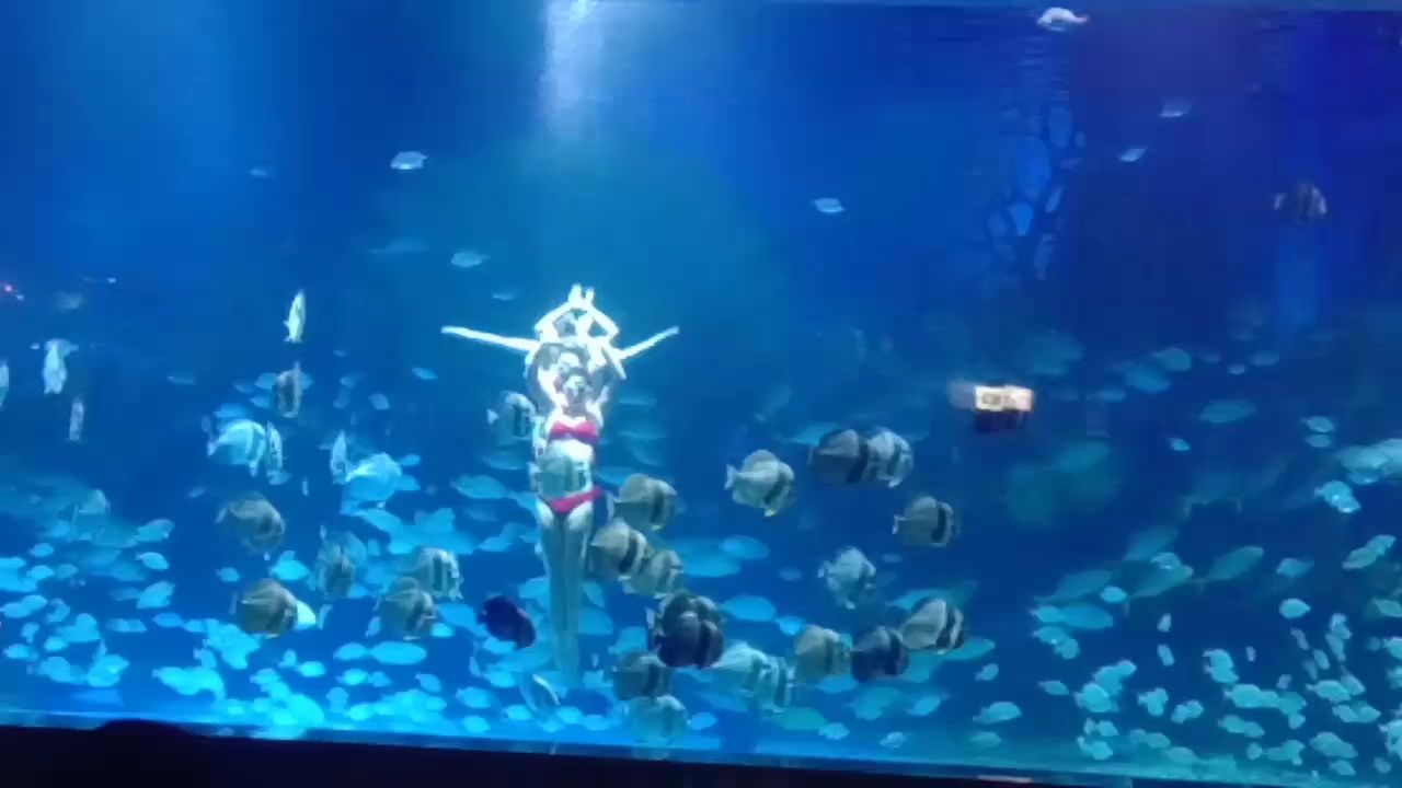隨拍，藝術攝影中的隨拍