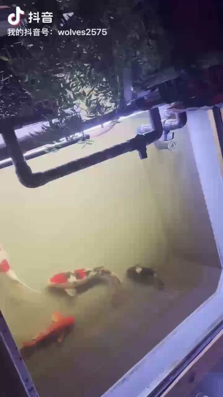 相隔數日打卡留念，“相隔數日打卡留念”的背后