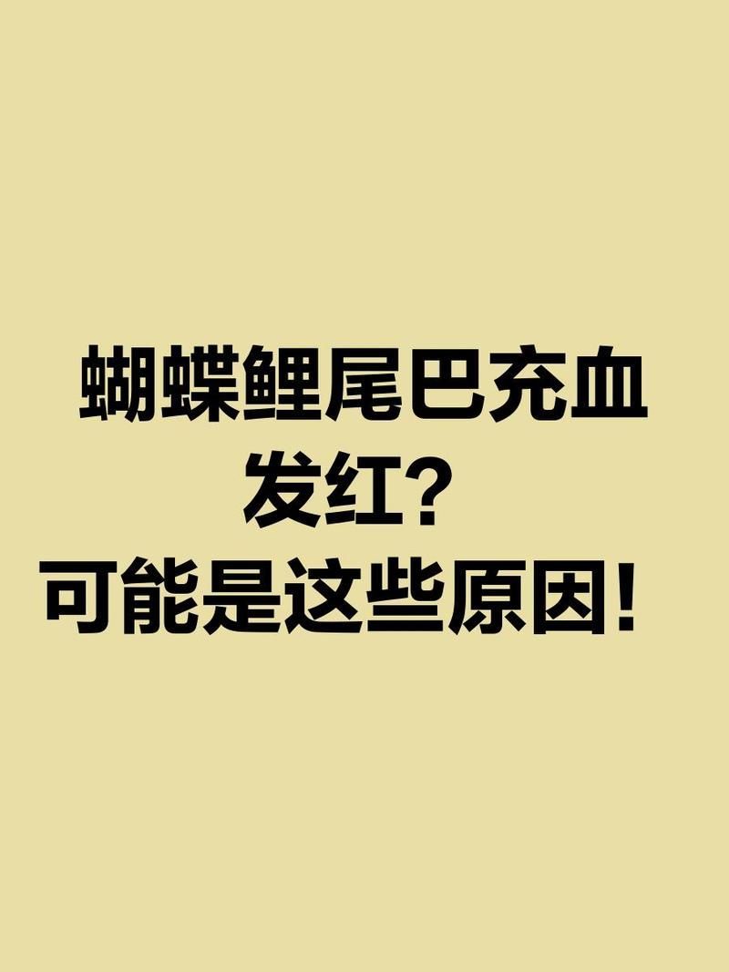 如何預(yù)防蝴蝶鯉尾巴紅血絲，蝴蝶鯉尾巴有紅血絲怎么辦
