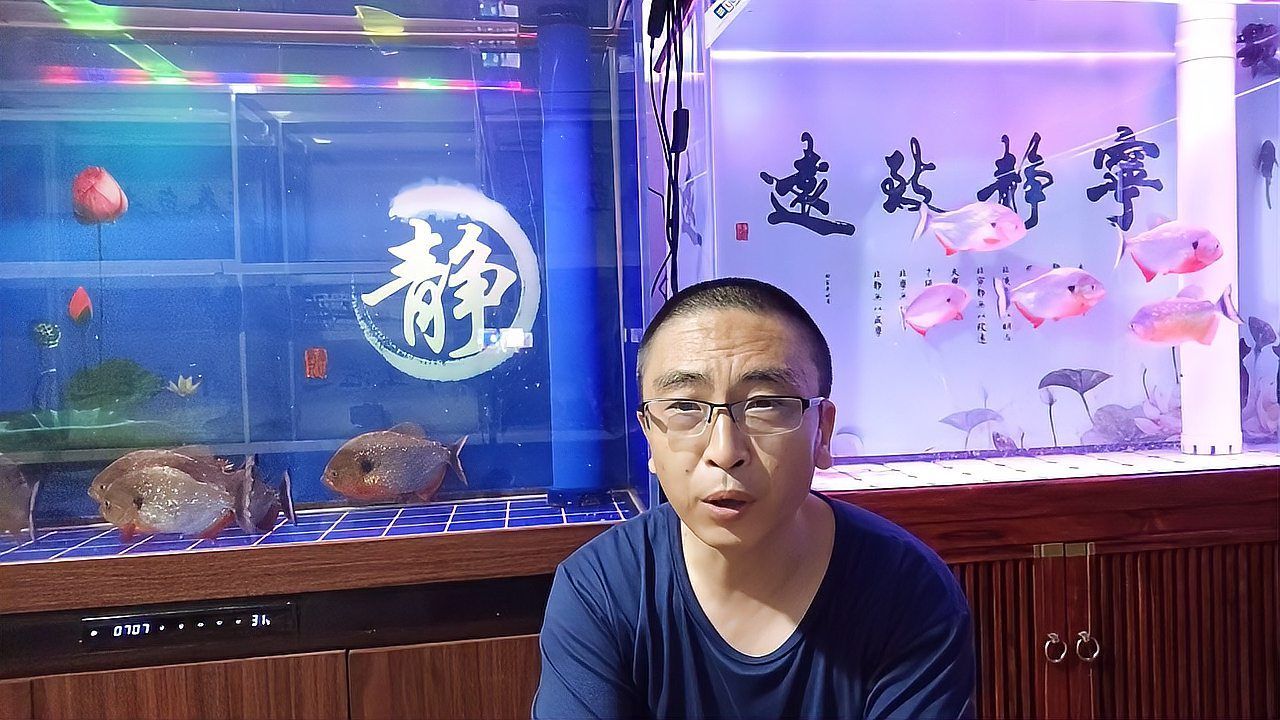 魚身上潰爛自愈需要多長時(shí)間，如何判斷魚身上潰爛如何預(yù)防