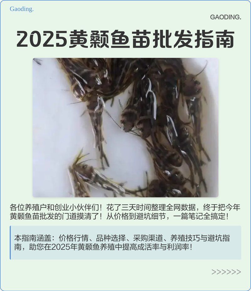 如何選擇優質的黃顙魚幼苗，優質的黃顙魚幼苗是養殖成功的關鍵之一，以下步驟和建議 如何選擇優質的黃顙魚幼苗，優質的黃顙魚幼苗是養殖成功的關鍵之一，以下步驟和建議 龍魚百科 第1張