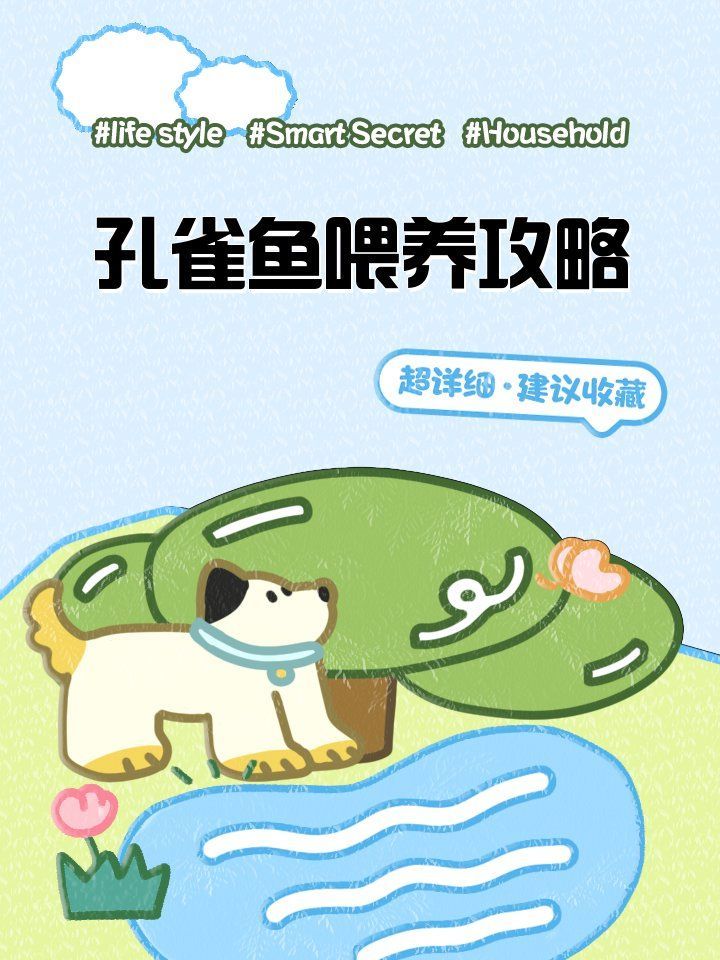 給我一些養孔雀魚的技巧，孔雀魚、斗魚、斗魚、斗魚、神仙魚、斗魚、神仙魚、孔雀魚