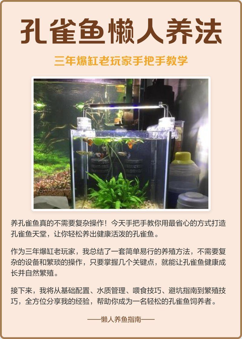 給我一些養孔雀魚的技巧，孔雀魚、斗魚、斗魚、斗魚、神仙魚、斗魚、神仙魚、孔雀魚