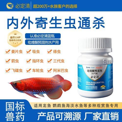 有哪些有效的龍魚除蟲藥物