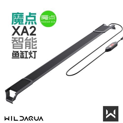 推薦幾款適合養龍魚的燈光品牌，適合養龍魚的燈具品牌