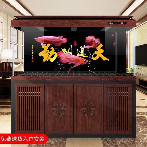 推薦幾款適合龍魚的魚缸品牌，德克、森森、可麗愛、可麗愛、可麗愛、可麗愛、可麗愛