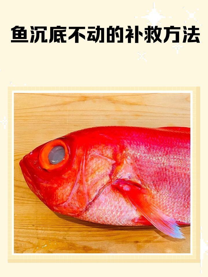 龍魚沉底后如何判斷是否死亡？，如何判斷龍魚是否死亡