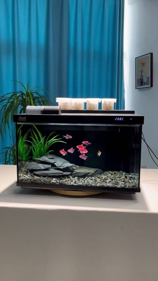 能否推薦幾款適合新手的魚缸，新手養魚必備魚缸推薦