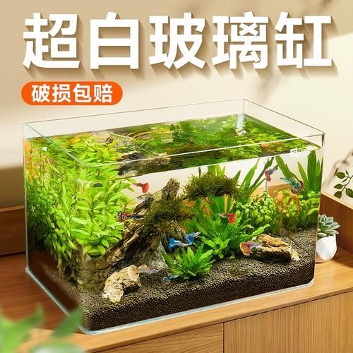 能否推薦幾款適合新手的魚缸，新手養魚必備魚缸推薦