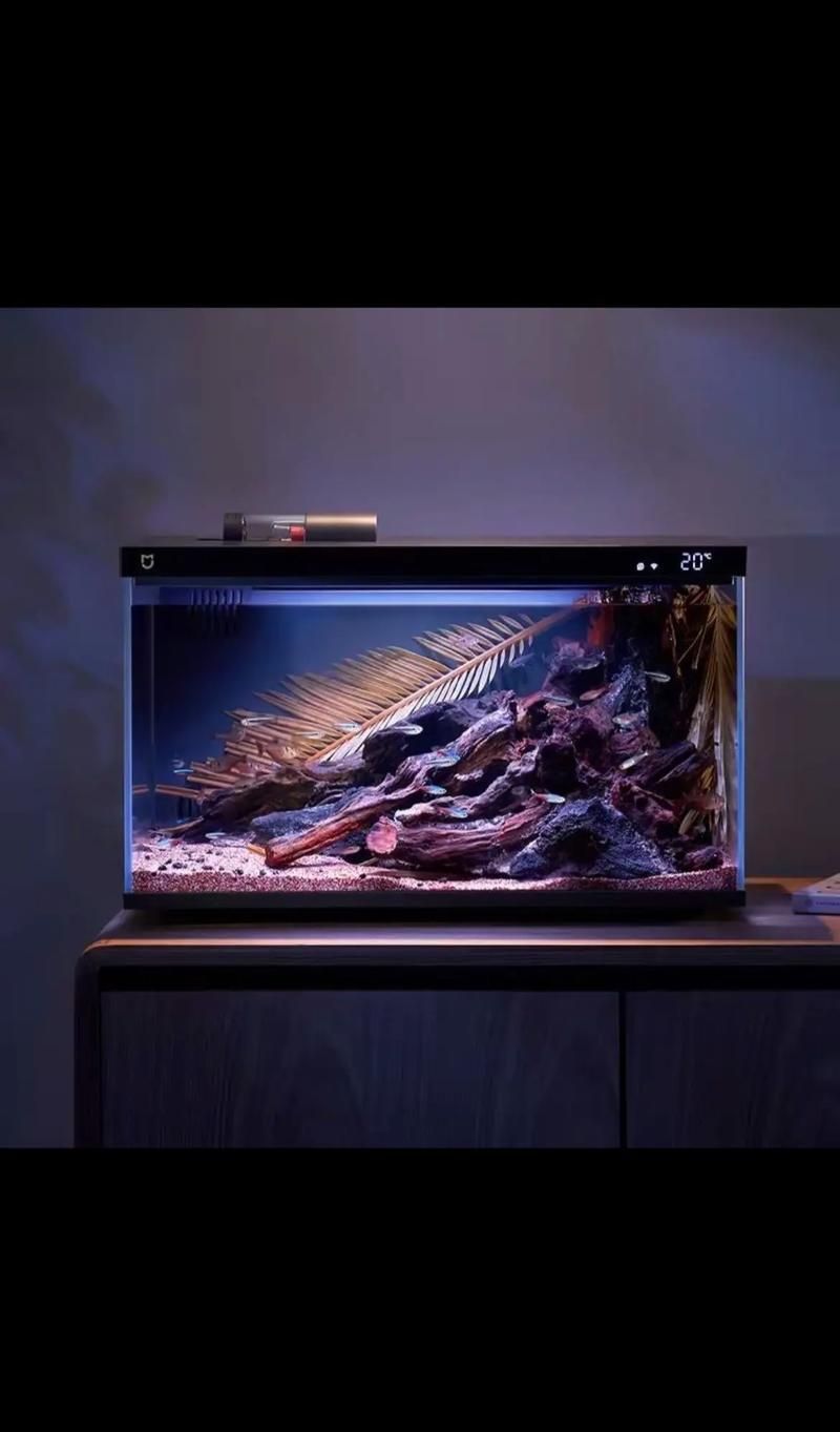 能否推薦幾款適合新手的魚缸，新手養魚必備魚缸推薦