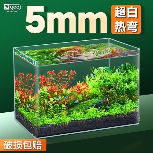 能否推薦幾款適合新手的魚缸，新手養魚必備魚缸推薦