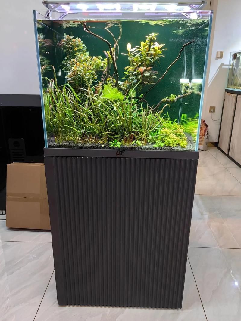 仟湖魚缸有哪些型號？，仟湖魚缸型號大全