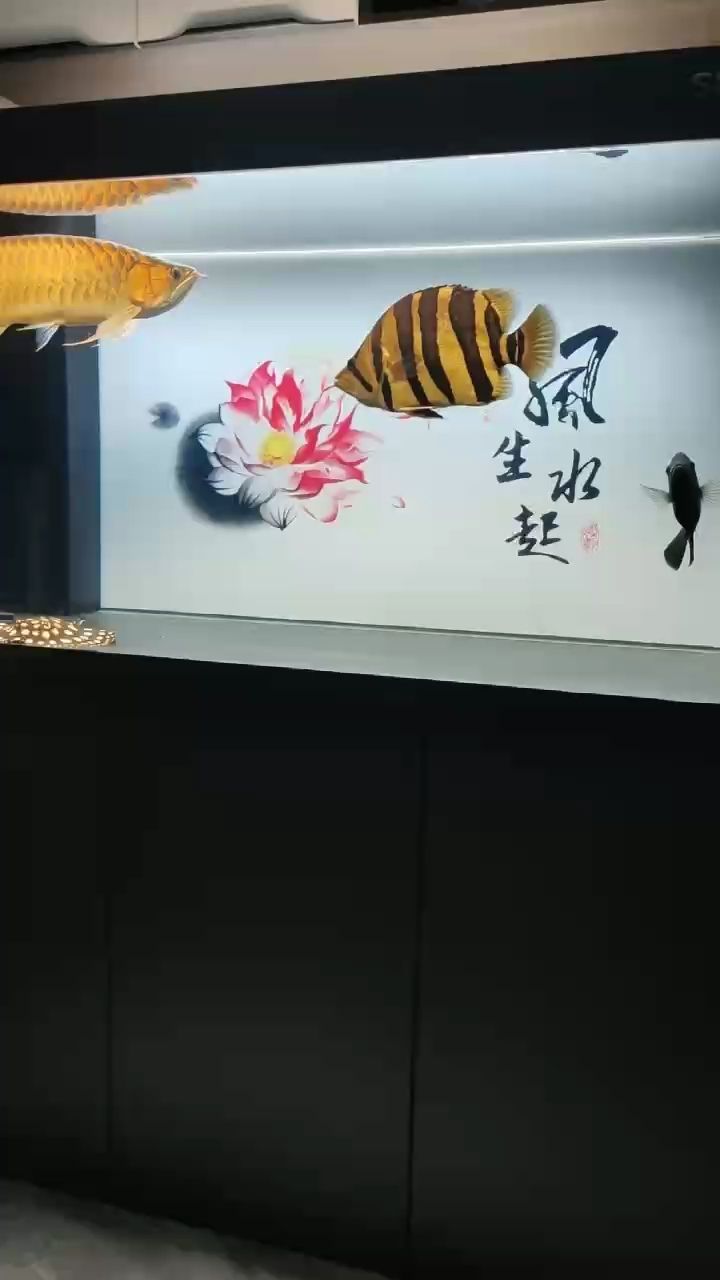 漂亮，“漂亮”在個人和社會層面的作用 漂亮，“漂亮”在個人和社會層面的作用 龍魚論壇
