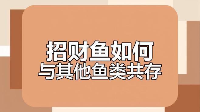 什么魚能和招財貓混養，招財貓和什么魚混養最安全