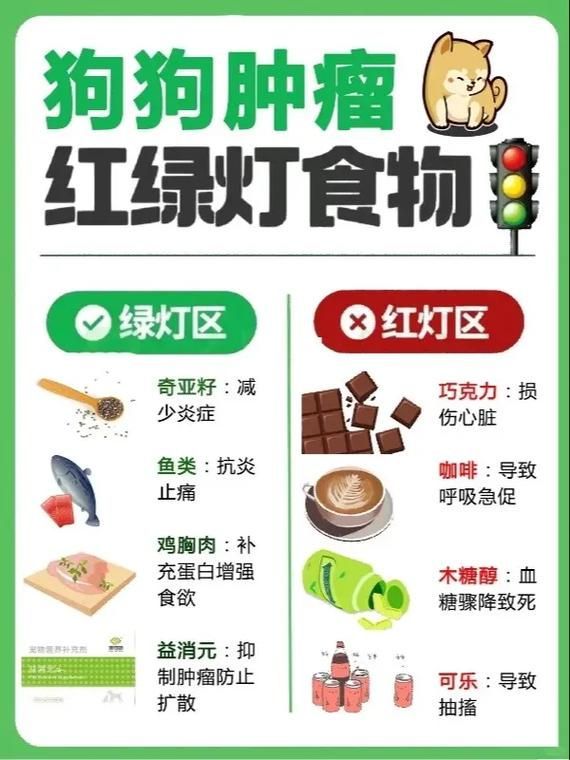 哪些食物在治療期間應該避免，治療期間食物禁忌