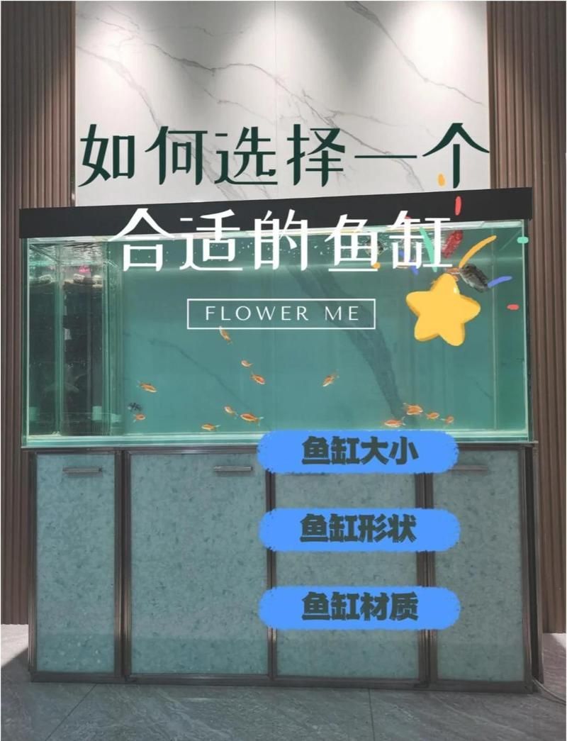 如何判斷龍魚是否適合小缸飼養，arxiv論文助手arxiv論文助手判斷龍魚是否適合小缸飼養