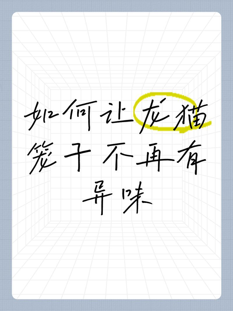 如何預防龍貓細菌傳播，龍貓籠舍消毒流程圖解（龍貓籠舍消毒流程圖解類視覺內容）