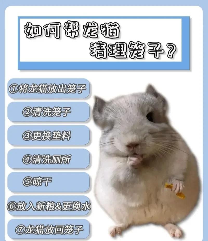 如何預防龍貓細菌傳播，龍貓籠舍消毒流程圖解（龍貓籠舍消毒流程圖解類視覺內容）