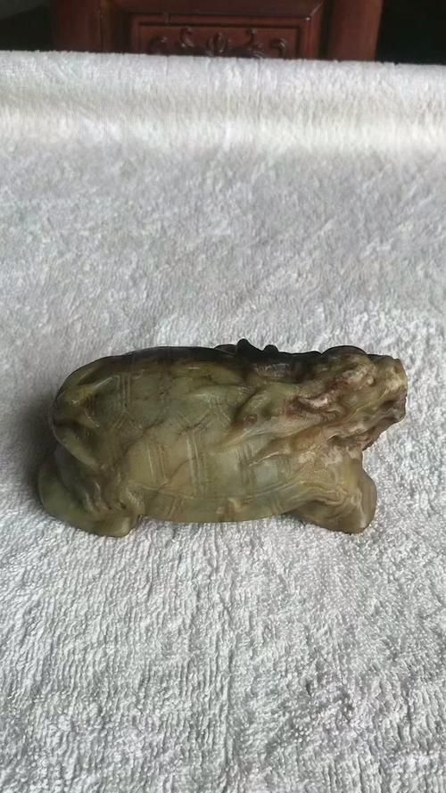 如何鑒別龍龜圖片的真偽，arxiv論文助手龍龜圖片的真偽鑒別指南，龍龜圖片的真偽
