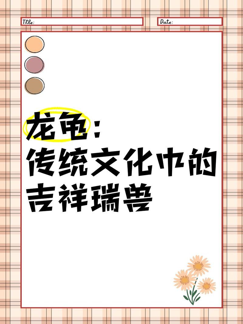 如何鑒別龍龜圖片的真偽，arxiv論文助手龍龜圖片的真偽鑒別指南，龍龜圖片的真偽