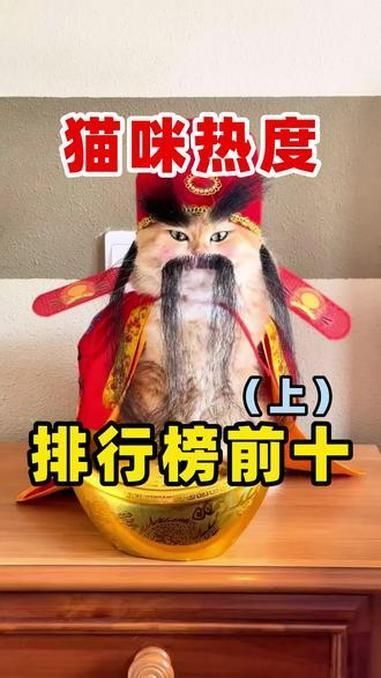 龍貓和貓哪個更受歡迎，貓咪熱度排行榜前十名(龍貓vs貓」