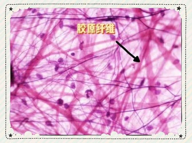 有哪些品牌的濾材口碑最好，家用凈水器口碑如何選擇