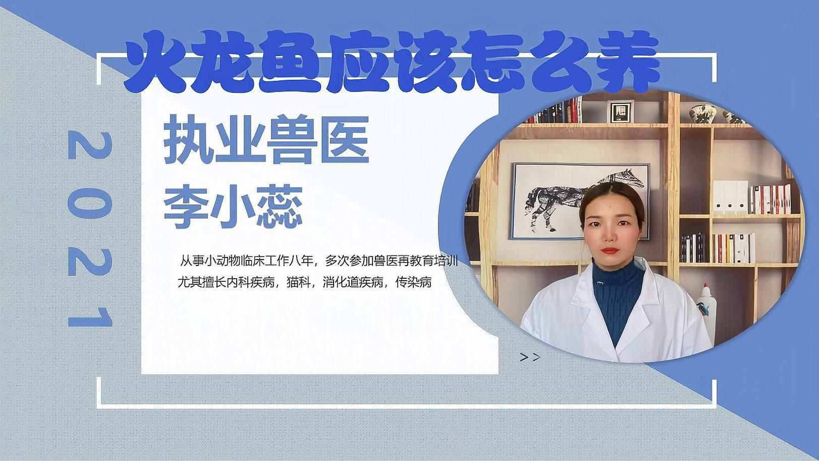 給我一些養(yǎng)小火龍魚的實(shí)用技巧，小火龍魚實(shí)用技巧，幫助你更好地照顧你的小火龍魚