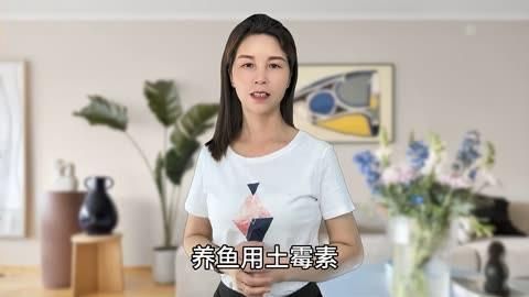 土霉素治療魚病需要多久見效，養魚萬能藥是什么土霉素治療魚病需要多久見效的問題