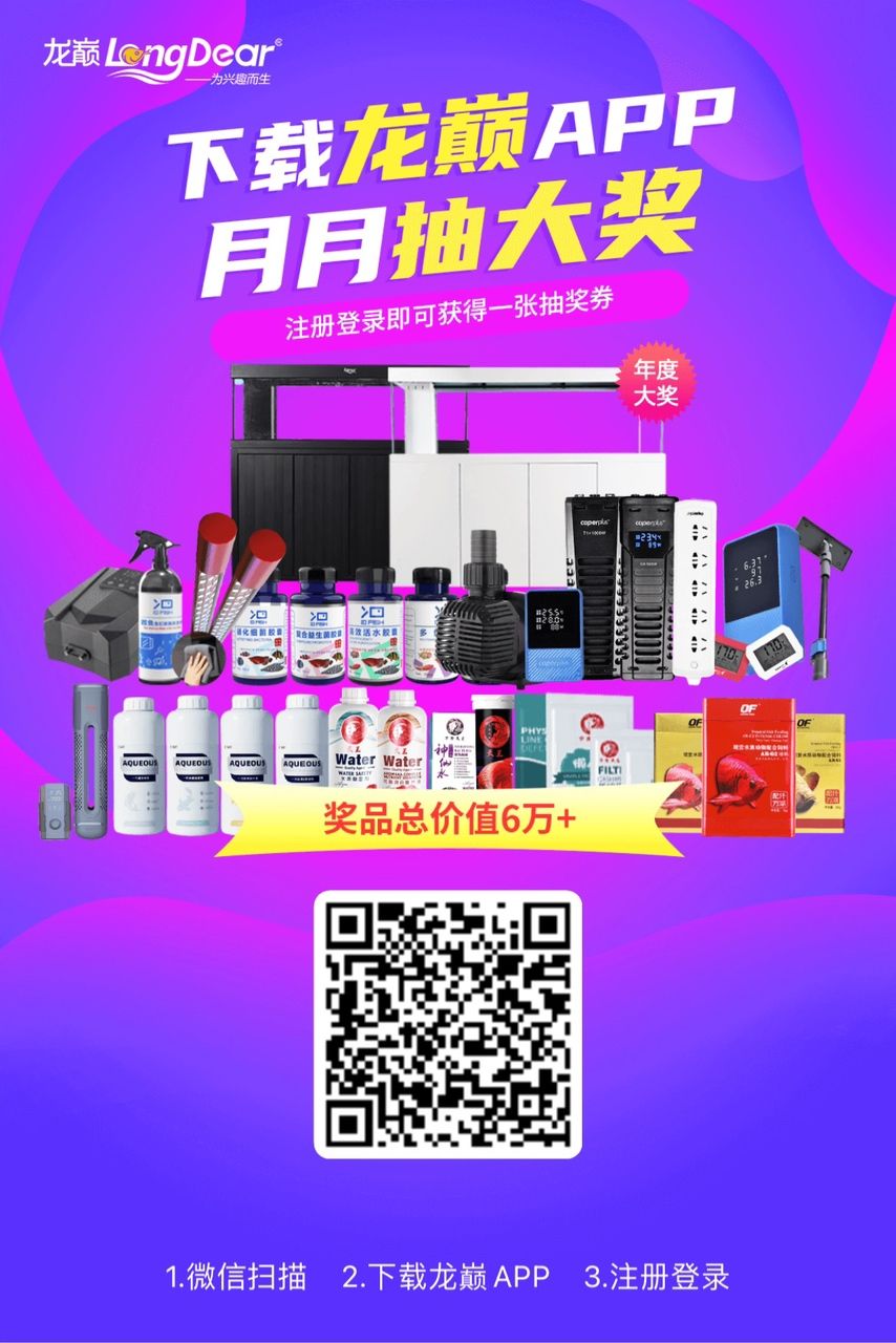 記載2026年的第一天，2026年的第一天