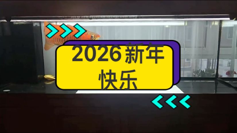 漂亮，“漂亮”在藝術(shù)