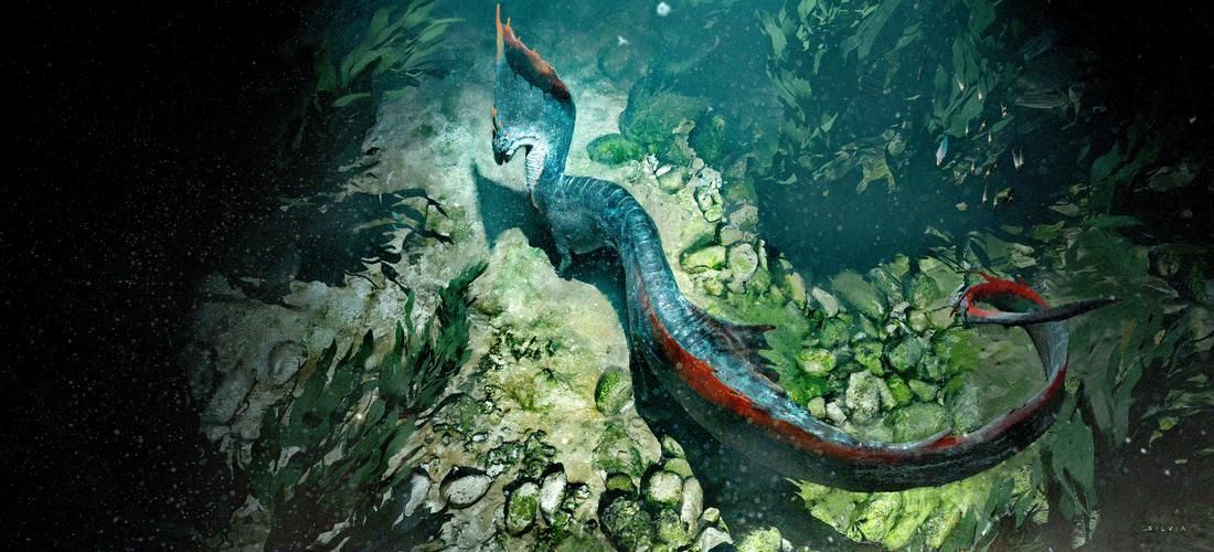 真正海龍的圖片，codurusequescoduruseques海龍的真正海龍 真正海龍的圖片，codurusequescoduruseques海龍的真正海龍 龍魚百科 第15張