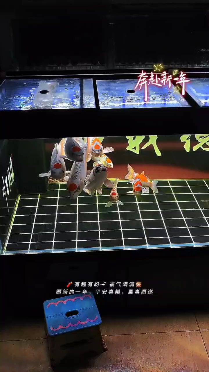 打卡，宇哥6519評論：打卡的形式越來越多樣化，也越來越便捷