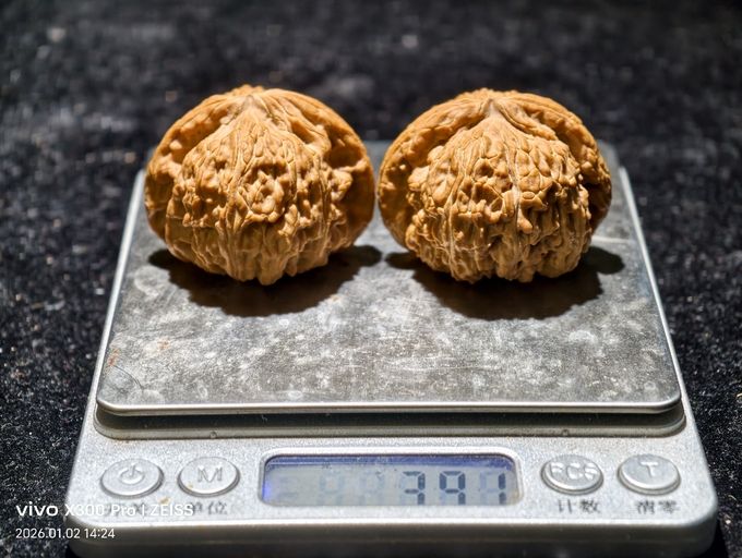 【淶水麻核桃·白獅子499包郵】，水麻核桃·白獅子499包郵