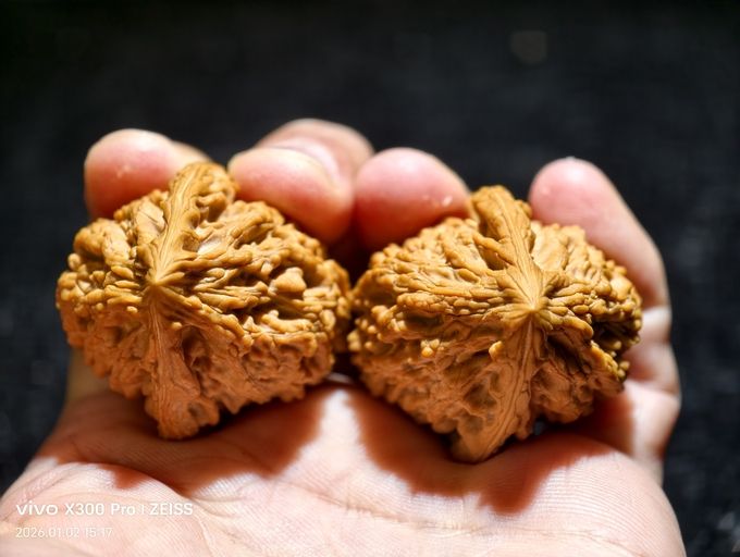 【淶水麻核桃·十三陵雞心】，水麻核桃·十三陵雞心