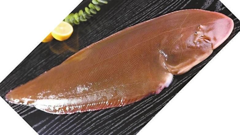 給我更多關于沙龍魚的圖片，沙龍魚與沙龍王的區別