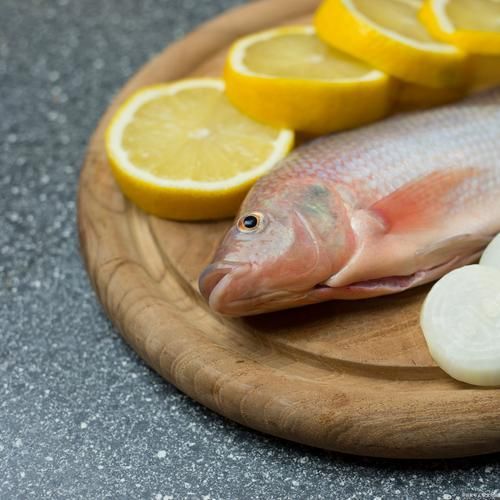 給我更多關于沙龍魚的圖片，沙龍魚與沙龍王的區別